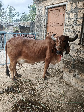 વેચવાની છે