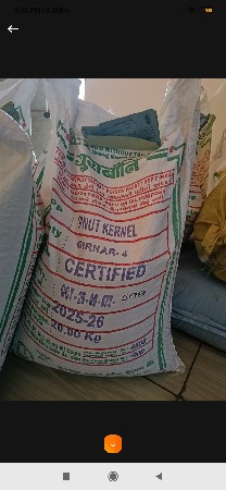 ગિરનાર 4