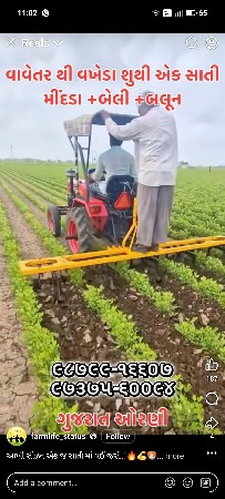 22 નંબર મગફળી નું બિયારણ વેચવાનું