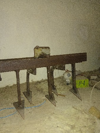 અઢીના છાતીના મીંદડા સાવ નવા