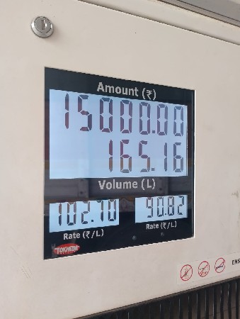 ગુલાબી રજેસ્તાની વાઇટ બકરો