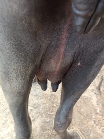 15 દિવસ ની વાર છે
