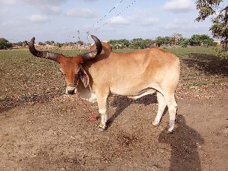 મો ૯૮૭૯૬૩૪૫૮૦