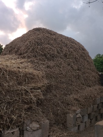 માંડવી નો ભૂકો વેસવાનો છે