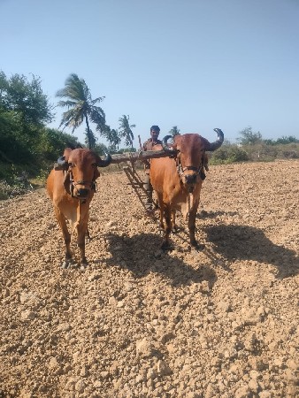 mo 7096160724