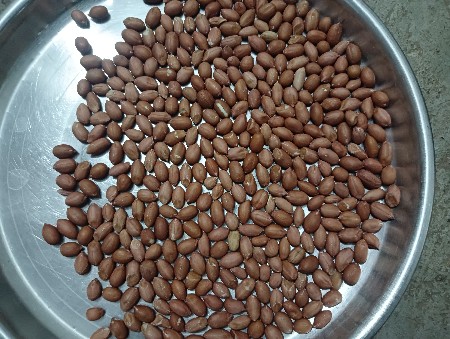 ગિરનાર ૪ બિયારણ વેચવાનું છે