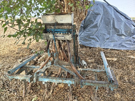 ઓરણી