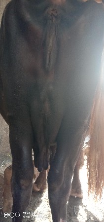 ત્રીજુ વેતન