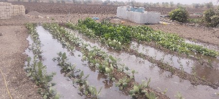 જમીન વેચવાની છે