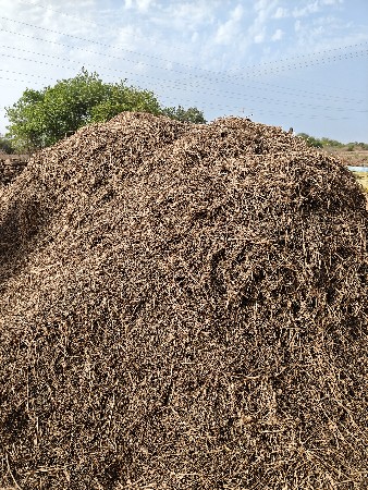 મગના ડારા ને ભૂકી વેસવાનાં સે