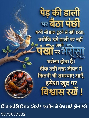 *જમીન લે વેચ માટે ફોન કરો