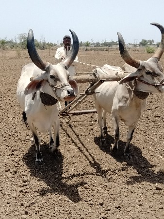 આ બધું સારું આપવાના છે