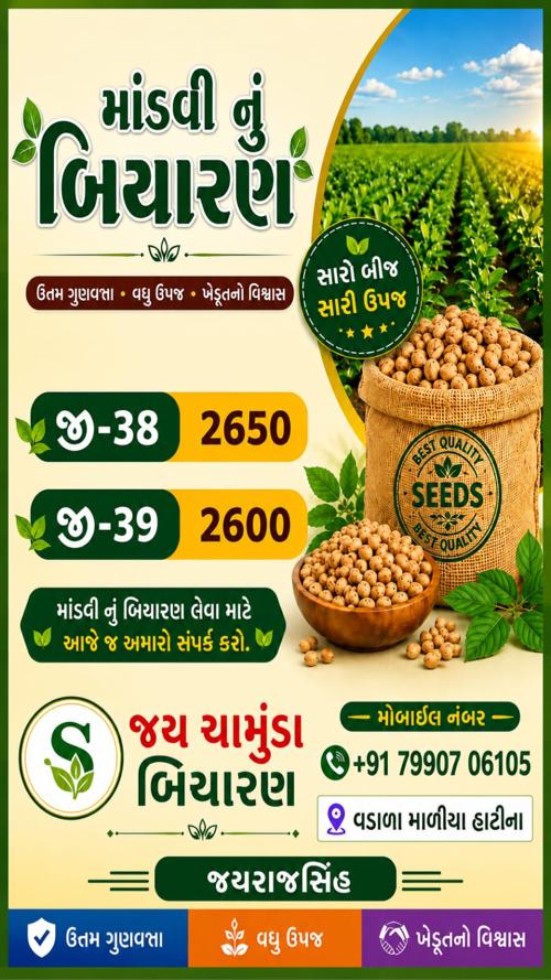 માંડવી નુ બીયારણ વેચવા નુ 100% ખાત્રીબંધ સે