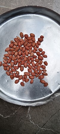 જીવીશ  બિયારણ વેચવાનું