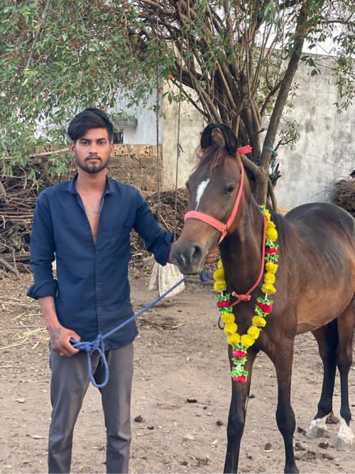 વેશવાનો નો સે વાસરો 16mahino