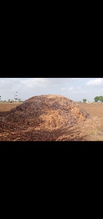 માંડવી નો ભુકો વેચવાનો છે.