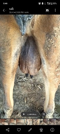 વેચવાની છે
