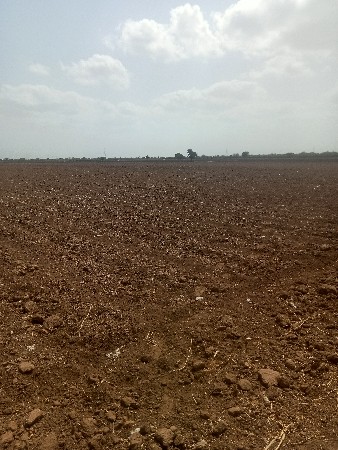 ખેતીની જમીન વેચવાની છે