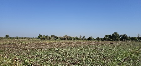 ખેતી લાયક જમીન