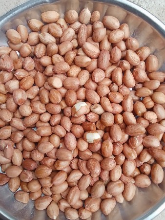 માંડવા ના બી