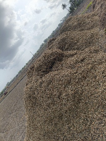 અડદીયુ વેચવાનુ છે