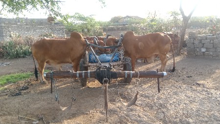 Junagarh station Taluka