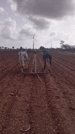 ચાર ચાર દાતે