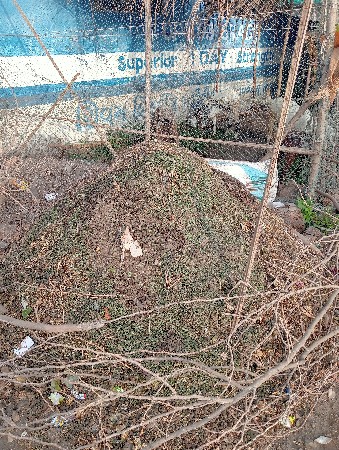 ખાતર
