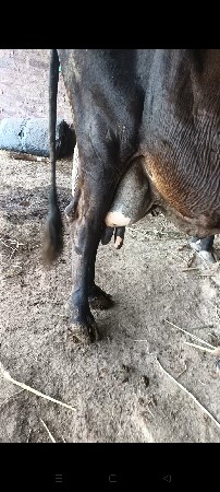 ગળકોટડી બાબરા અમરેલી