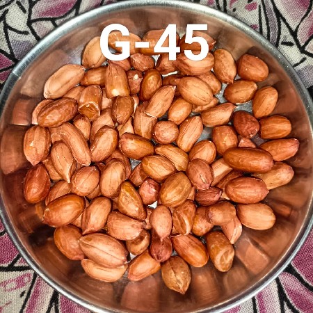 G45 નંબર નુ બિયારણ વેચવાનું છે