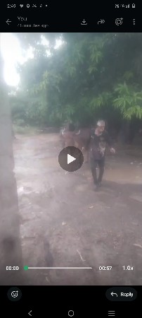 દેશી ગીર ગાય વેચવાની છે