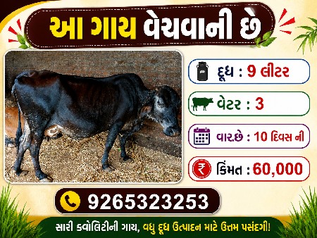 કોઇ પણ વસ્તુ ની આવું બેનર બનાવવા