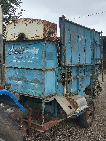 ગંગા‌ થેસર