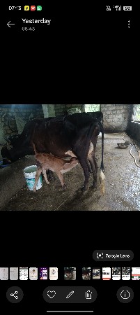 hf 2 ju vetar sav soji