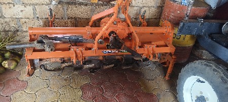 સોનાલી કા નું છે