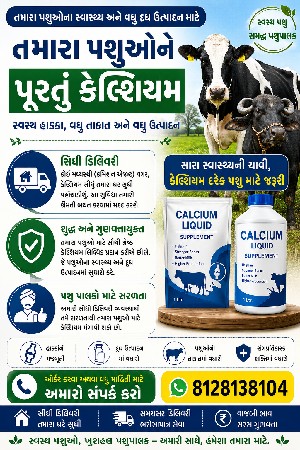 5 લિટર કેલ્શિયમ