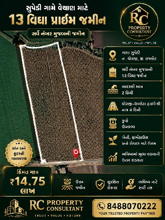 13 વીઘા જમીન વેચવાની છે