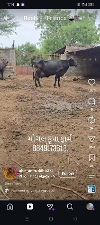 2 વેતર