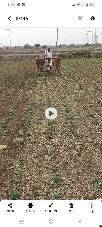 ગોઢલા વેચવાના છે