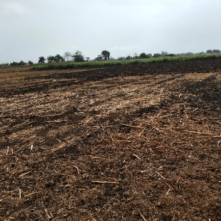 ખેતીની જમીન વેચવાની