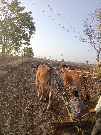વેચવા છે તાત્કાલિક બધીજવાબદારીથી
