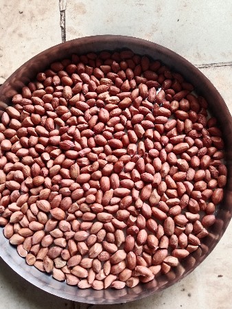 બિયારણ વેચવાનું છે જી 20. 21 મણ
કિ