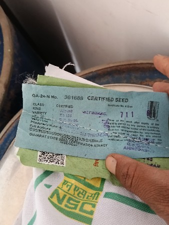તુવેર નું બિયારણ નિગમનું સર્ટિફાય