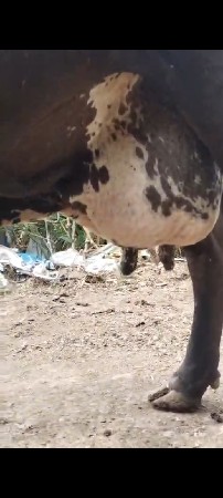 ગળકોટડી બાબરા અમરેલી