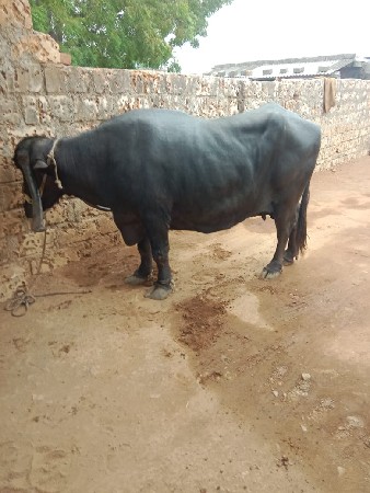 9016967594 આ નંબર પર ફોન કરો