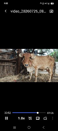 કિંમત 50