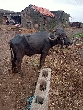 કિંમતમાં ફેરફાર થઈ જશે
