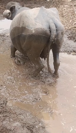 ટોટલ જવાબદારીથી આપવાની છે બે