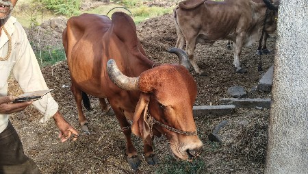 વેચવાની છે