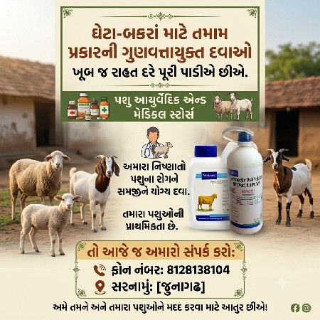 ઘેટા બકરા ની દવા લેવા માટે મળો